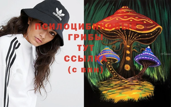 герыч Вязьма