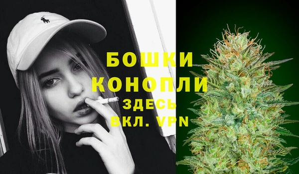 крисы Вяземский