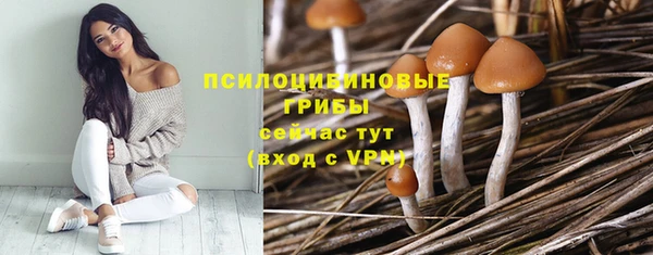 крисы Вяземский