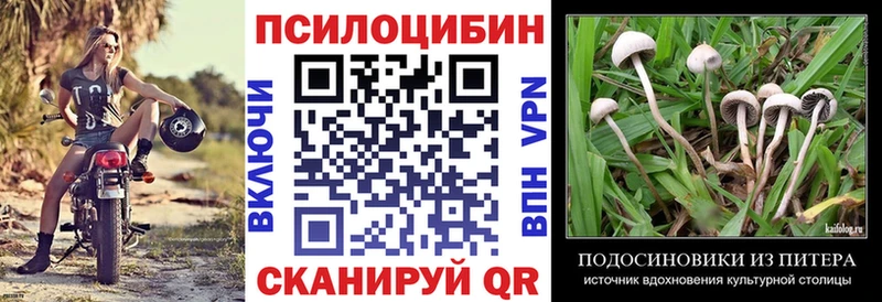 Галлюциногенные грибы Psilocybe  Крым 